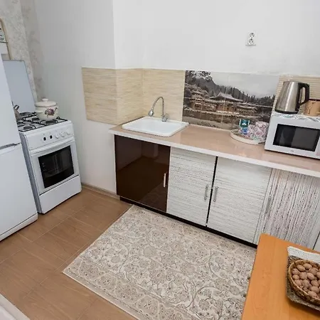 Светлая Квартира Рядом С Парком Горького 阿拉木图 外观 照片